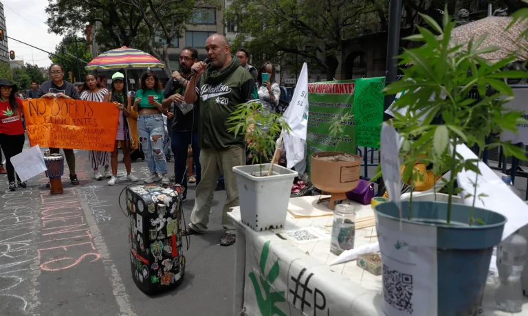 Nuevos sitios públicos para fumar mota en CDMX
